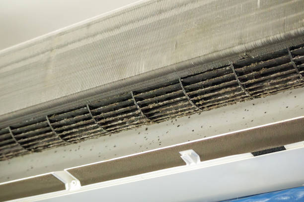 Best Air Duct Cleaning Near Me  in Hood River, OR